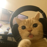 lolololololol avatar