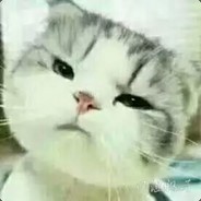 在玩虫老子是煞笔