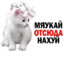 лил шишка