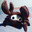 tald_zsc