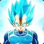 Vegeta- [insecto]