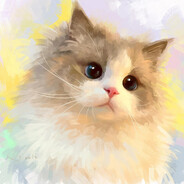 有只小猫叫月牙