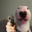 Fdz-