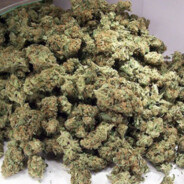 Ɽ₳₴₮₳₣₳Ɽ₳Ɏ420