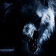 ●拉雷什● hellcase.com