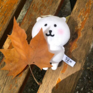 鳗鱼火烧猫猫头