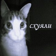 Залупа