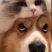 几年回首奈若何