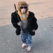 Cletus Assblaster