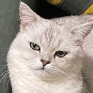 抱着嫦娥逗玉兔