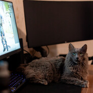 JDR - steam id 76561197961452424