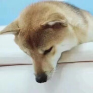 玩家头像