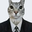 西装猫