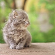 追逐我的空投梦ing