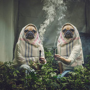 MDMA_Leppyx