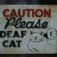 Deaf Cat