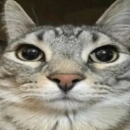 шо ты маленький - steam id 76561199491385848
