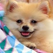 samukkaxd