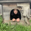 половогубенький бычок