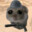 4ikibomboni ^ↀᴥↀ^