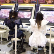 再也不会生成阳光了