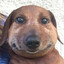 тихий мальчик's avatar