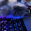 fel1xsports
