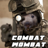 Combat Wombat