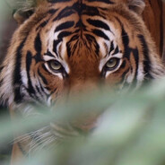 击靶差劲硬道理