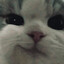 Riri_Jona
