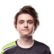 小小浣熊小小熊