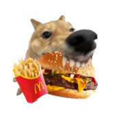 初生牛犊不怕胡同学