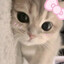 anji