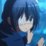 鳥が六花を泳ぐ