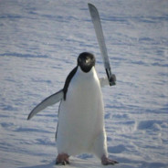 Pinguin de Peixeira