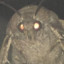 Mothman?