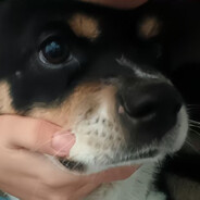 AA村头寡妇范芳