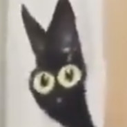 Grimmkat