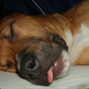 LdN/OdB |-*LOoTciFeR*-