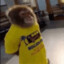 Yellow shirt monkey