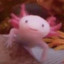 MelancholyAxolotl