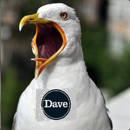 Dave the Seagull