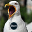 Dave the Seagull