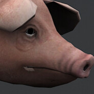 PIG 30