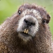 TrуHarder