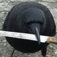 Crow