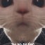 zxc