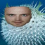 Джеси