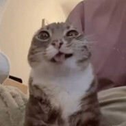 Quick Slip of the Kitty