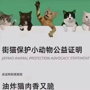 油炸猫肉香又脆